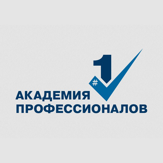 Академия Профессионалов № 1