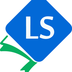 Lancman School