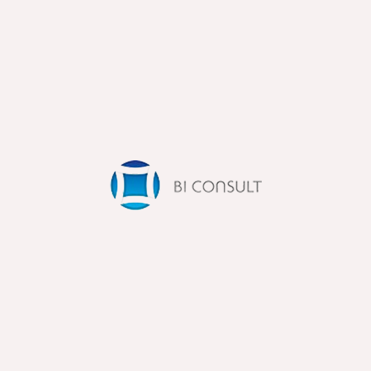 BI Consult