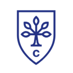 City Business School
