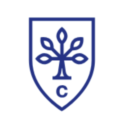 City Business School