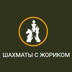 Шахматы с Жориком